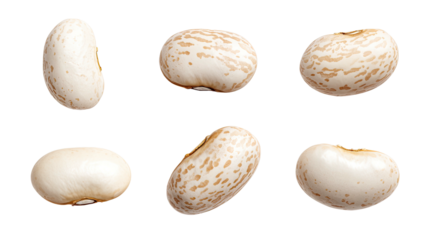 Six pinto beans, close up, isolated on black. Macro food shot