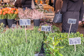 close up of rosemarin, laurel, citrontimian plants on a local farmer food market, outdoors. Small black signs with indicated prices in Danish currency, Danish Krone. Some customers in the background.
