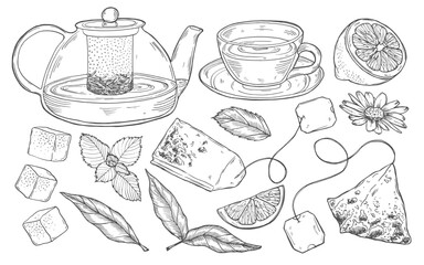 Tea Set Vector Outline Illustration. Hand drawn graphic clipart of cup with pot and leaves.