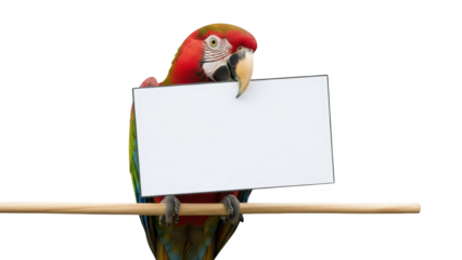 A colorful parrot holding a blank sign on a perch.