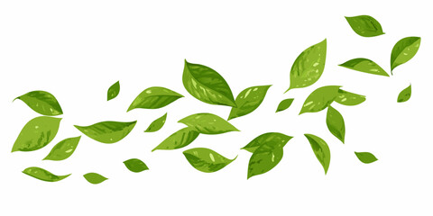 A scattering of vibrant green leaves against a plain white background