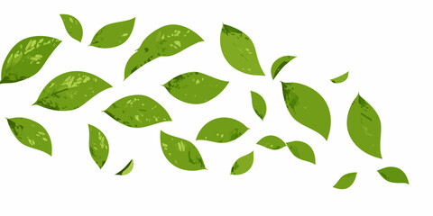 A scattering of vibrant green leaves against a plain white background