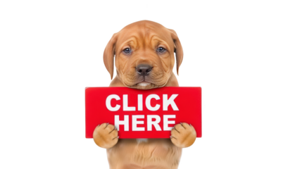 Adorable puppy holding a red sign that says CLICK HERE.