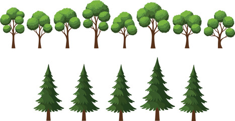 Tree vector set featuring deciduous and pine trees for forest landscape nature and outdoor environment illustrations