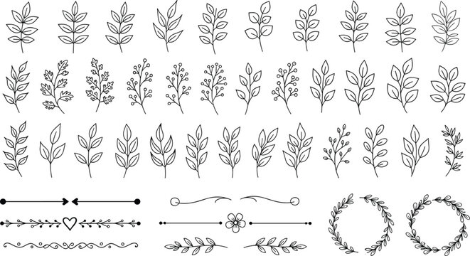 Botanical decorative elements vector set featuring floral branches leaves dividers wreaths and ornamental line designs