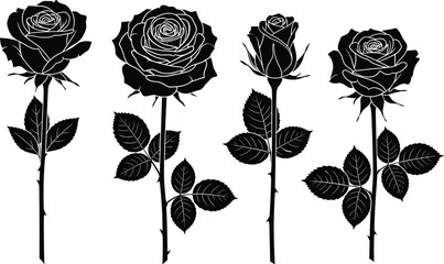 Black rose silhouette, floral vector, botanical illustration, stylized petals, decorative flower art, elegant design, leaf pattern, tattoo concept, graphic bloom, nature motif ©  jahanara