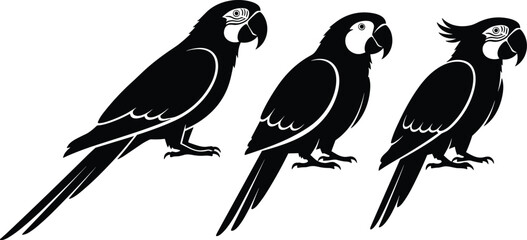 Obraz premium Three stylized black parrot silhouettes vector illustration set isolated on white background minimal tropical bird design for branding logos decor