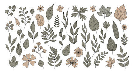 Assortment of hand drawn leaves and small flowers in natural tones for botanical patterns and organic design elements.