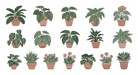 Collection of indoor houseplants in terracotta pots featuring various species and leaf shapes for home decor and urban gardening.