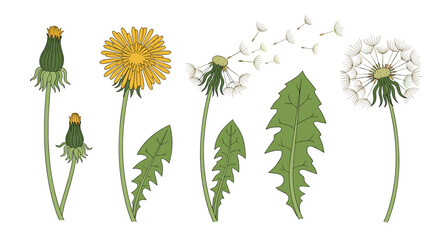 Group of diverse men and women singing with passion into microphones surrounded by floating musical notes for entertainment themes.