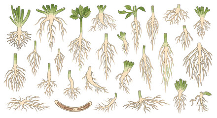 Extensive set of isometric office chairs armchairs and sofas in different styles and colors for interior workspace furniture design.