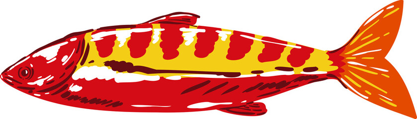 colorful sardines element object.