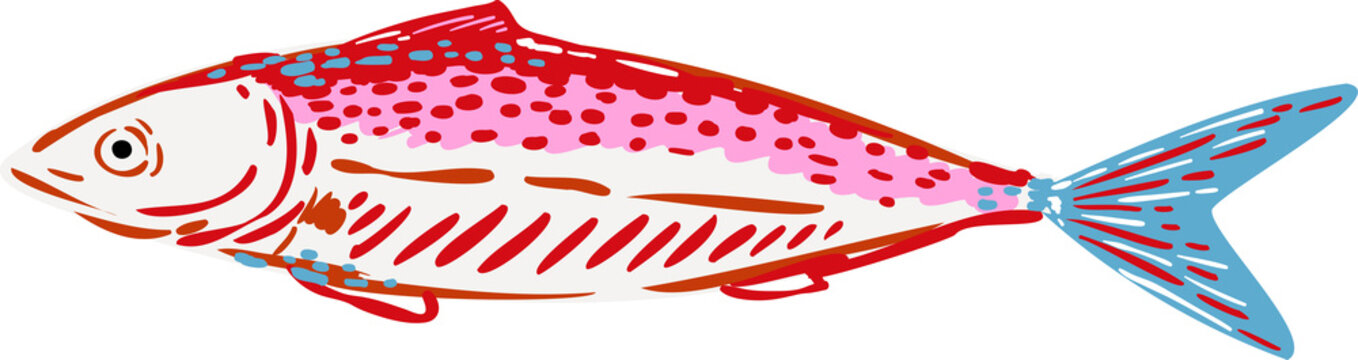 colorful sardines element object.