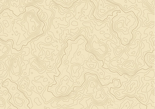 Abstract topographic contour map pattern vector background in muted brown tones