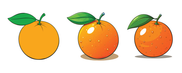 Orange Fruit Illustration Set with Leaves &ndash; Fresh Citrus Collection