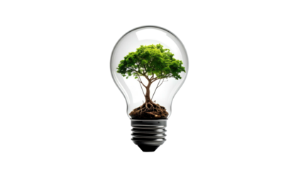 A lightbulb silhouette containing a flourishing green tree and its roots, set against a dark background