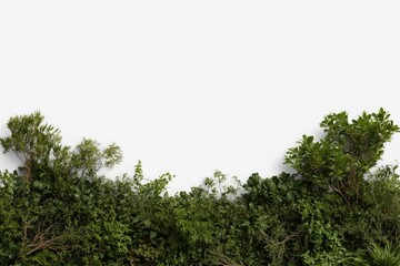 Lush greenery frames bright sky, showcasing nature's vibrant div