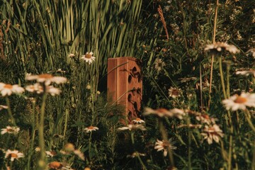 Rustic bee hotel nestled among wildflowers, promoting pollinator
