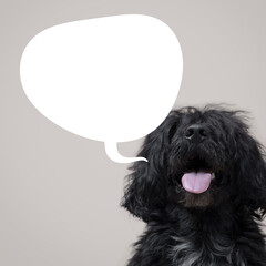 Happy dog talking and empty speech balloon