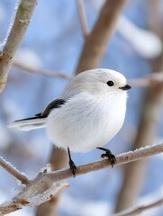 parrotbill, generation AI 