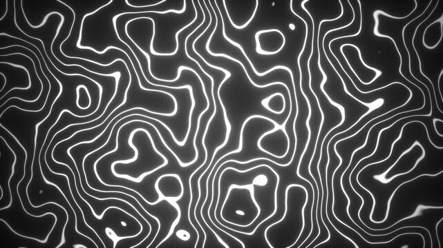 Abstract Glowing White Wavy Lines.Motion Graphic with Alpha Matte. Topographic Map Style Organic Line looped Animation. Minimalist Liquid Flowing Lines
