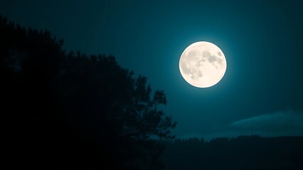 astronomy. A serene night landscape bathed in moonlight, with silhouetted trees creating a peaceful atmosphere. travel magazines, destination branding, designed for travel destination branding.