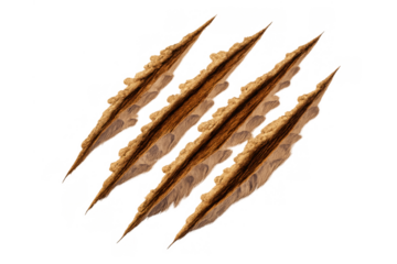 Animal claws tearing deeply through a material, creating four parallel scratches, transparent background