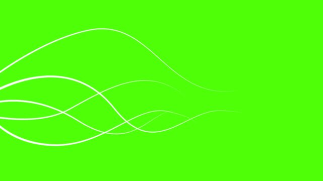 Abstract white wavy lines animation on green screen background. Chroma key organic growing roots or vines for compositing.