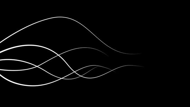Abstract white wavy lines animation on black background. Minimalist growing roots or organic vines motion graphics suitable for overlay.