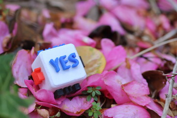 肯定を意味するYESの文字が書かれたキューブ