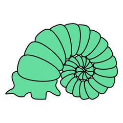 Sea shell cartoon. Tropical ocean exotic underwater seashell