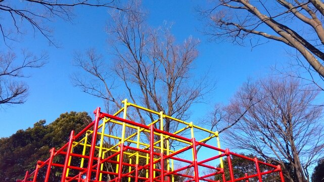 枯れ木」の写真素材 | 22,644件の無料イラスト画像 | Adobe Stock