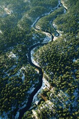 Fototapeta premium A river meanders through a snowy forest, a nature reserve. View from above.