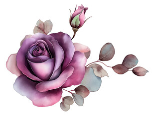 Watercolor Flowers Display Colorful Petals and Leaves