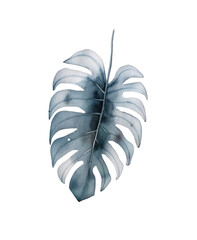 Watercolor Tropical Leaves Clipart Transparent