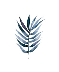 Watercolor Tropical Leaves Clipart on Transparent Background