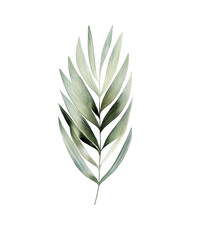 Tropical Leaves in Watercolor Clipart on Clear Background