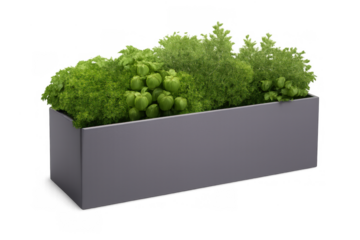 Planter box filled with fresh herbs, growing plants for urban gardening and healthy living, transparent background