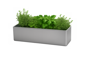 Fresh herbs growing in metal planter, showing organic fragrant basil, mint, and thyme for healthy cooking, transparent background