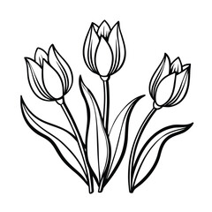Three Elegant Tulips in a Simple Line Art Drawing.