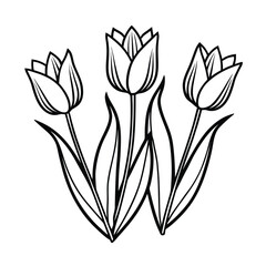 Elegant Black and White Line Art of Three Tulips.