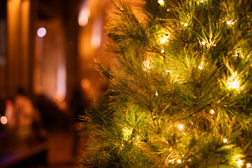 Festive Evergreen Tree Warm Twinkling Lights Glow