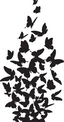 Butterfly Swarm Silhouette &ndash; Elegant Flying Butterflies Black Vector on White.