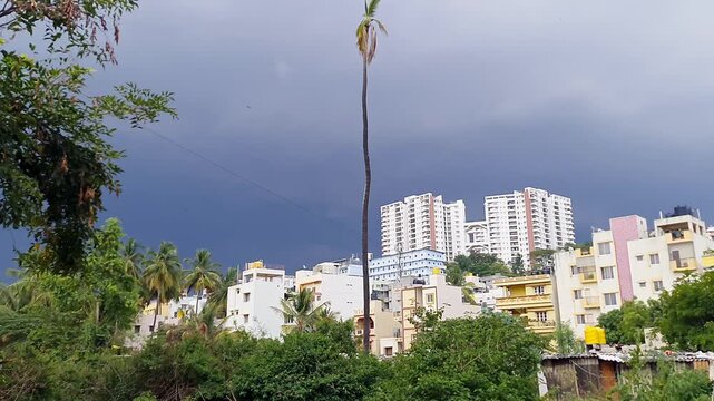 A wide view of buildings and long palm tree stand alone against the cloudy sky at Bangalore city