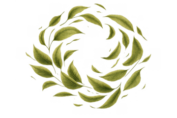 Green leaves creating a round wreath, a natural and organic design element for health, tea, or eco-friendly themes