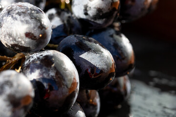 Fresh appetizing ripe red grapes in a detailed macro shot showing skin texture and natural bloom