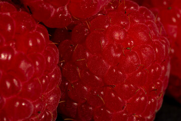 Fresh appetizing ripe raspberries in a detailed macro shot showing texture and vibrant red color