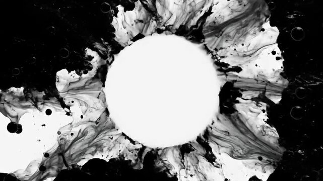 black ink splashing in a circular motion on a white background . use as multipurpose tittle intro, background. product mockup. motion graphics background