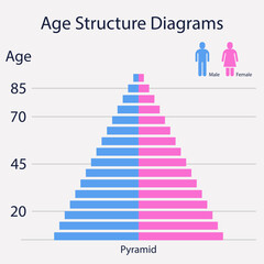 Age Structure Population Pyramid Demographic Diagram