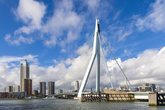Rotterdam cityscape with Erasmus bridge over Nieuwe Maas river, Netherlands